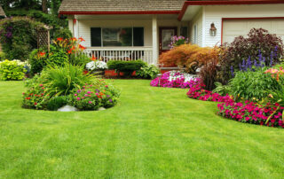summer grounds keeping services
