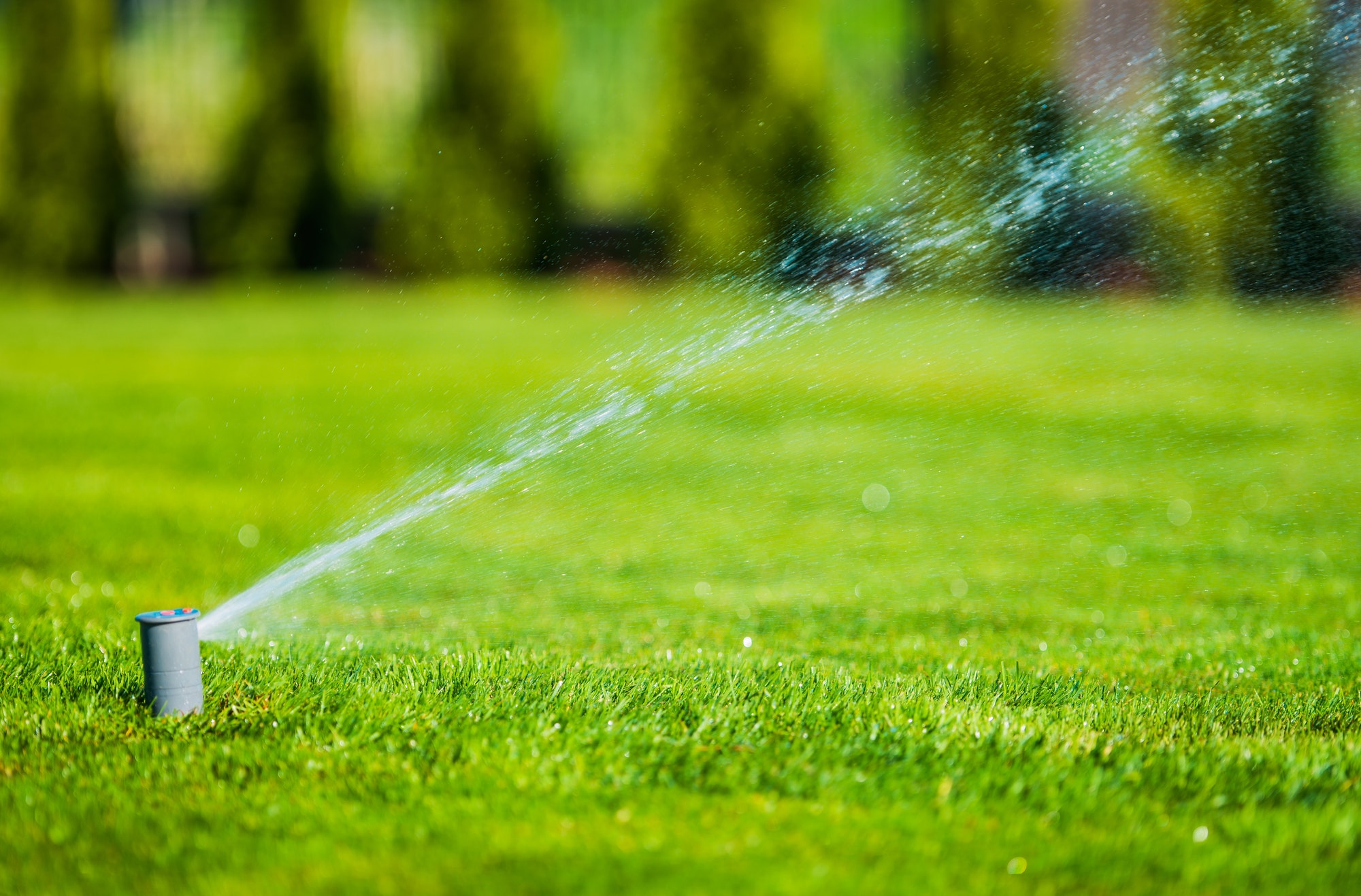 Lawn Sprinkler Systems in Duluth, MN